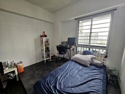 Blk 1 The Pinnacle@Duxton (Bukit Merah), HDB 4 Rooms #514017831